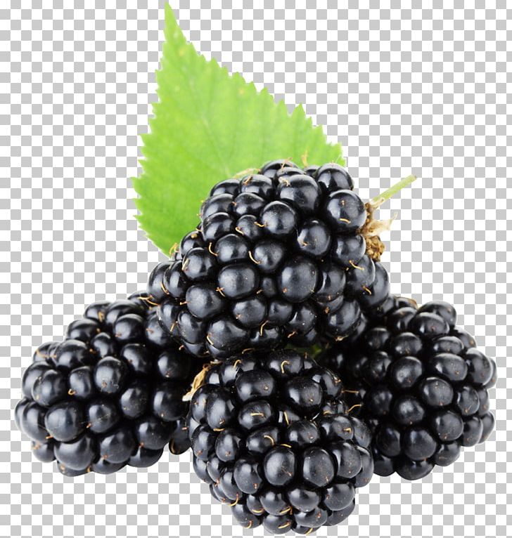Blackberry Pie Fruit PNG, Clipart, Berry, Bilberry, Blackberry, Blackberry Fruit, Blackberry Messenger Free PNG Download