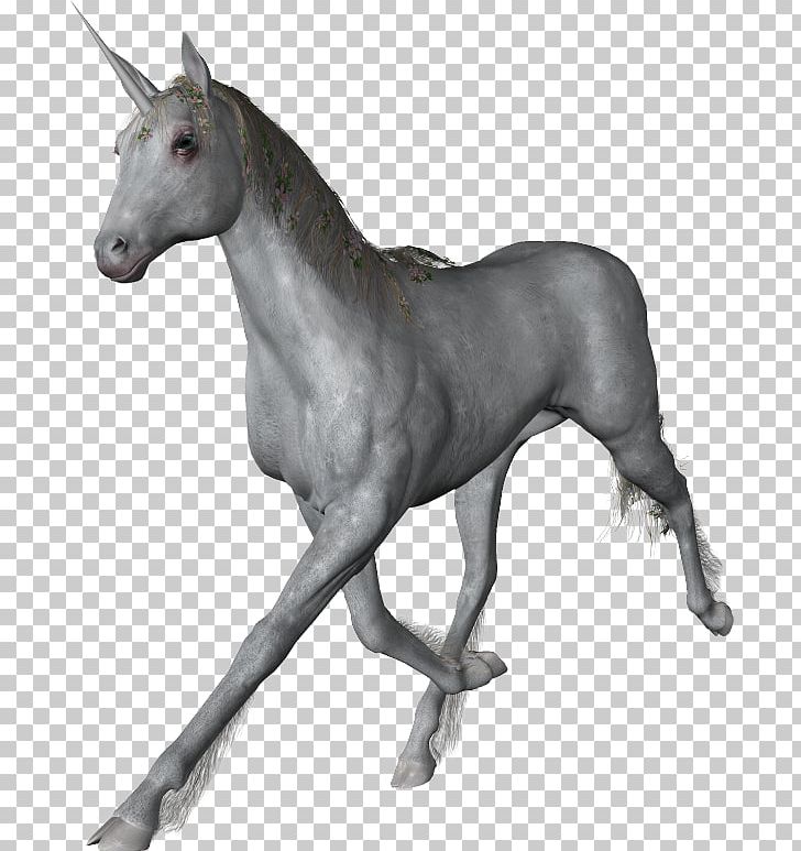 Unicorn Horse Information PNG, Clipart, Black And White, Download, Fantasy, Fictional Character, Foal Free PNG Download