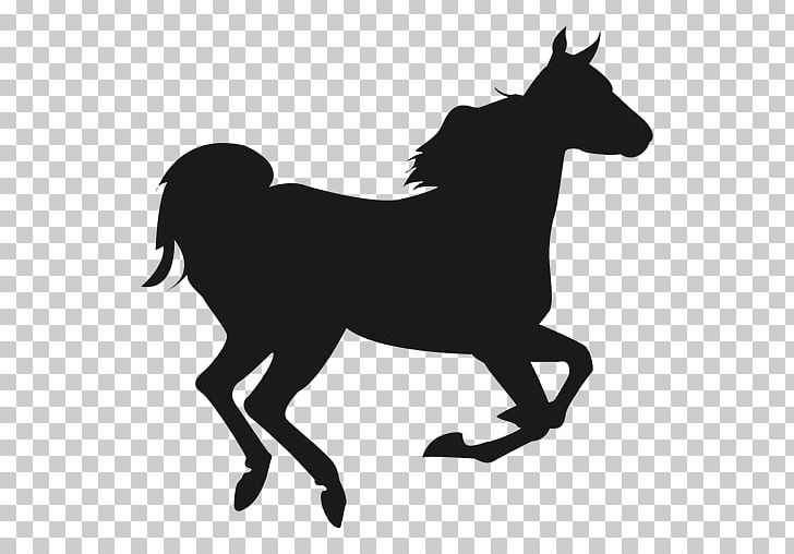 Horse Show Jumping PNG, Clipart, Animals, Black And White, Bridle, Desktop Wallpaper, English Riding Free PNG Download