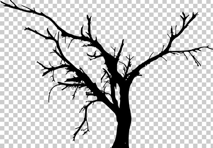 Branch Tree PNG, Clipart, Art, Bare, Beak, Bird, Black And White Free PNG Download