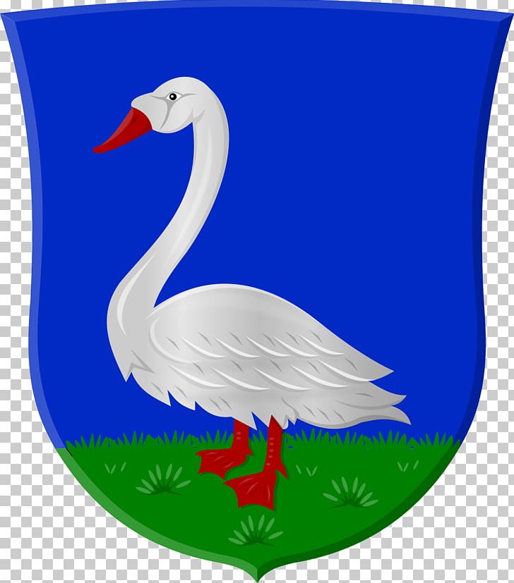 Duck Goose Feather Beak PNG, Clipart, Animals, Beak, Bird, Duck, Ducks Geese And Swans Free PNG Download