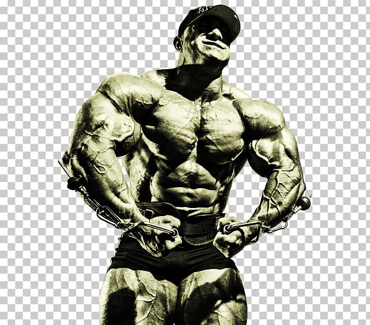 Army Gainer Muscle Tank Bodybuilding PNG, Clipart, Abdomen, Aggression, Arm, Army, Bodybuilder Free PNG Download