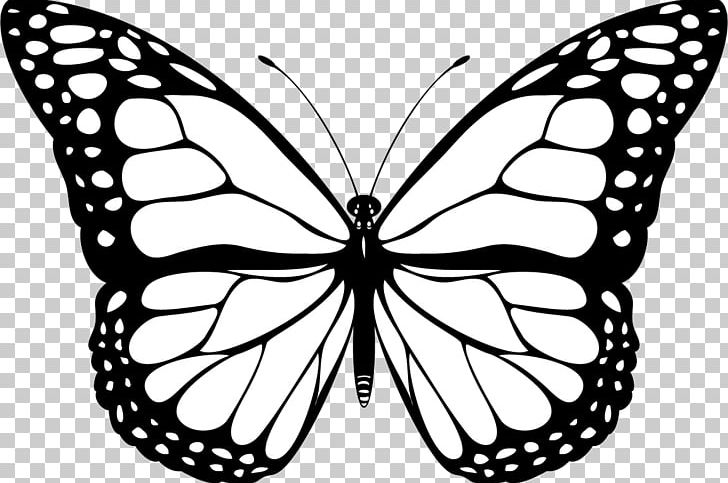 Butterfly Black And White YouTube PNG, Clipart, Arthropod, Black, Black Butterfly, Brush Footed Butterfly, Color Free PNG Download