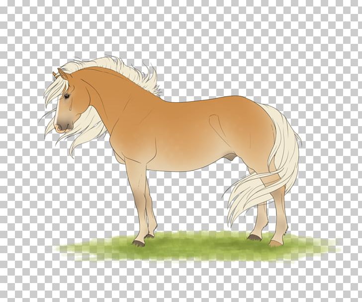 Juliana Crain Horse Stallion Art If I'd Met You PNG, Clipart,  Free PNG Download