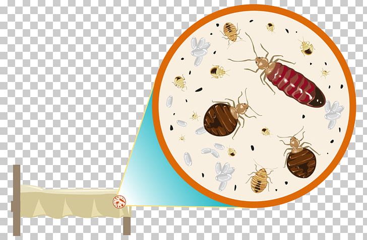 Cockroach Bed Bug Control Techniques Pest Control Bed Bug Bite PNG, Clipart, Animals, Bed, Bed Bug, Bed Bug Bite, Bed Bug Control Techniques Free PNG Download