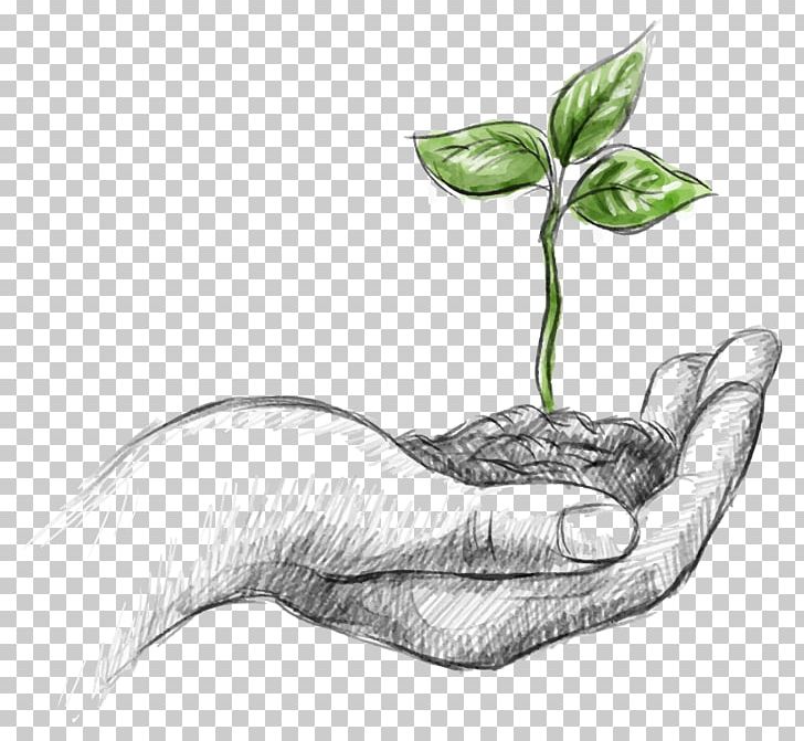 Natural Environment Sustainability Company Agriculture Environmental Issue PNG, Clipart, Alternative Medicine, Arm, Artwork, Business, Drawing Free PNG Download