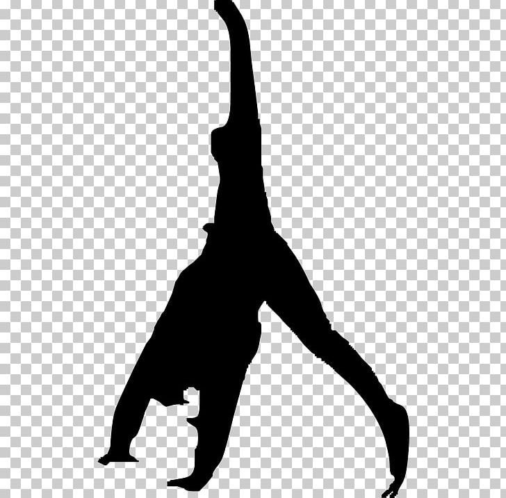 Flip Gymnastics PNG, Clipart, Black And White, Computer Icons, Download, Exercise, Flip Free PNG Download