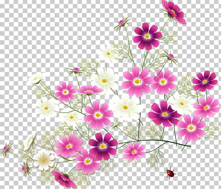 Flower Garden Roses PNG, Clipart, Annual Plant, Auglis, Blossom, Branch, Clip Art Free PNG Download