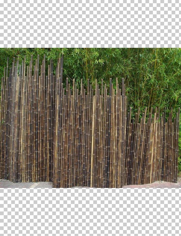 Fence Tropical Woody Bamboos Garden Furniture Phyllostachys Nigra PNG, Clipart, Bamboo, Door, Fence, Furniture, Garden Free PNG Download
