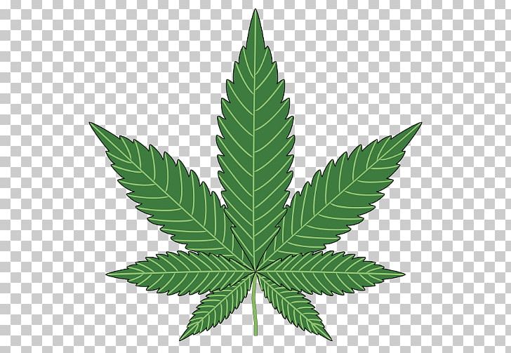 Medical Cannabis 420 Day Hemp Smoking PNG, Clipart, 420 Day, Bong, Cannabis, Cannabis Smoking, Drug Free PNG Download