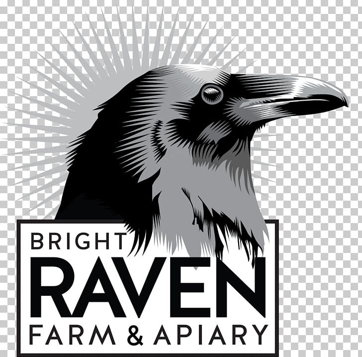 Birthday Cake Raven Energy ASX:REL Bright Raven Farm Education Center PNG, Clipart, Advertising, Anniversary, Apiary, Art Logo, Australian Securities Exchange Free PNG Download