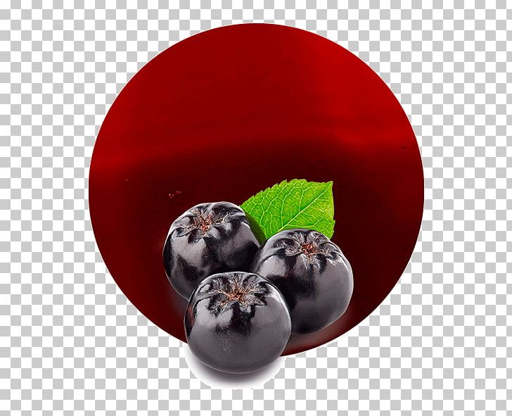 Chokeberry Juice Berries Video Concentrate PNG, Clipart, Aronia Arbutifolia, Berries, Berry, Blueberry, Chokeberry Free PNG Download