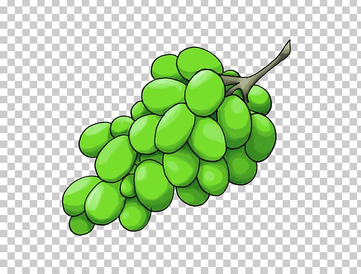 Grape Plant Stem Vegetable Tree PNG, Clipart, Food, Fruit, Fruit Nut, Grape, Grapevine Family Free PNG Download