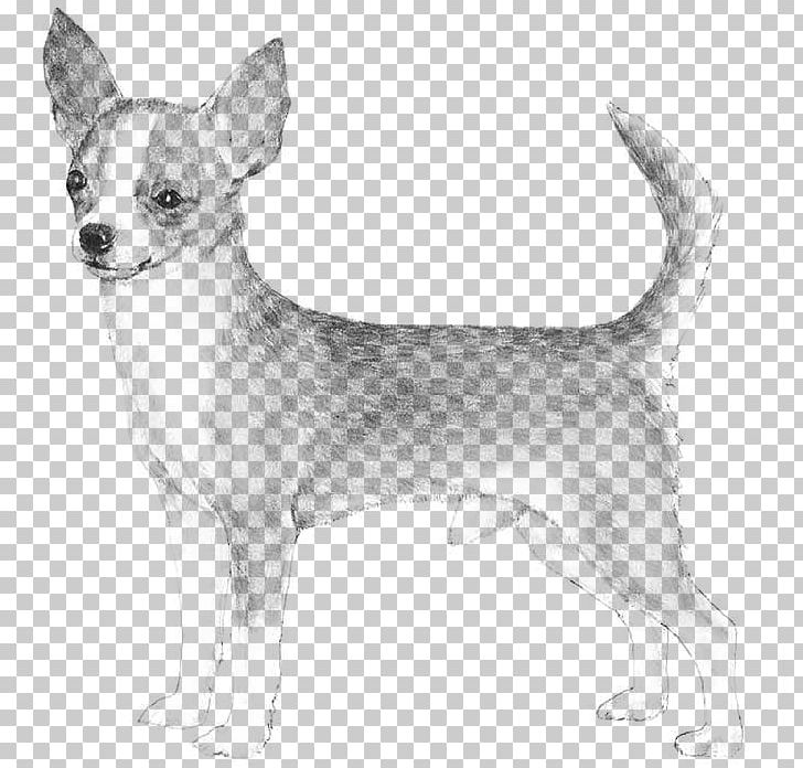 Chihuahua Basset Hound Smooth Collie Rat Terrier Miniature Pinscher PNG, Clipart, American, Ancient Dog Breeds, Animals, Black And White, Breed Free PNG Download