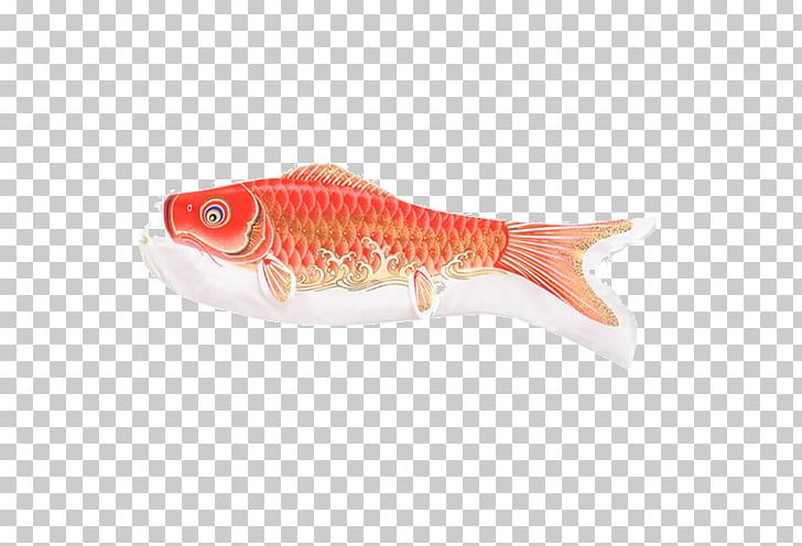 Common Carp Koinobori Flag Kabuto Red PNG, Clipart, American Flag, Australia Flag, Blue, Carp, Cartoon Free PNG Download