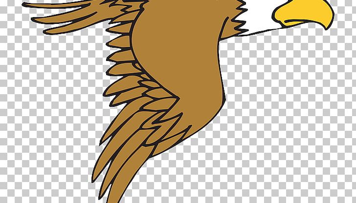 Bald Eagle Drawing PNG, Clipart, Artwork, Bald Eagle, Beak, Bird, Bird Of Prey Free PNG Download