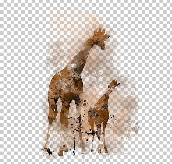 Giraffe Horse Terrestrial Animal Wildlife Mammal PNG, Clipart, Animal, Baby Giraffe, Fauna, Giraffe, Giraffidae Free PNG Download