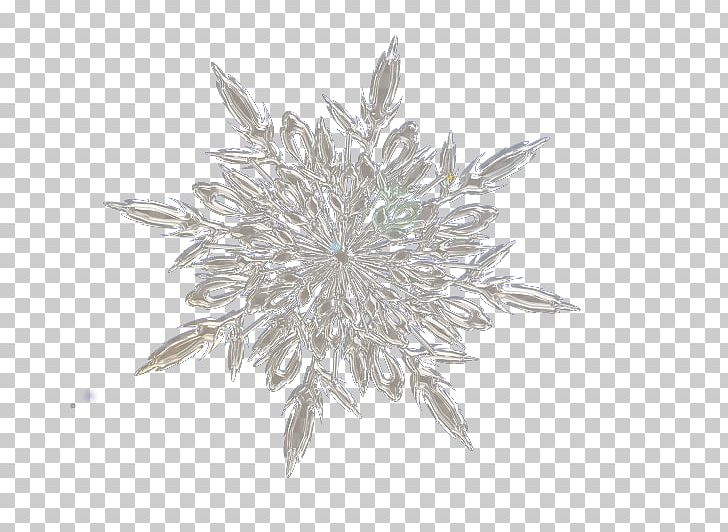 Snowflake White Crystallization PNG, Clipart, Background White, Black White, Blue, Christmas, Creative Free PNG Download