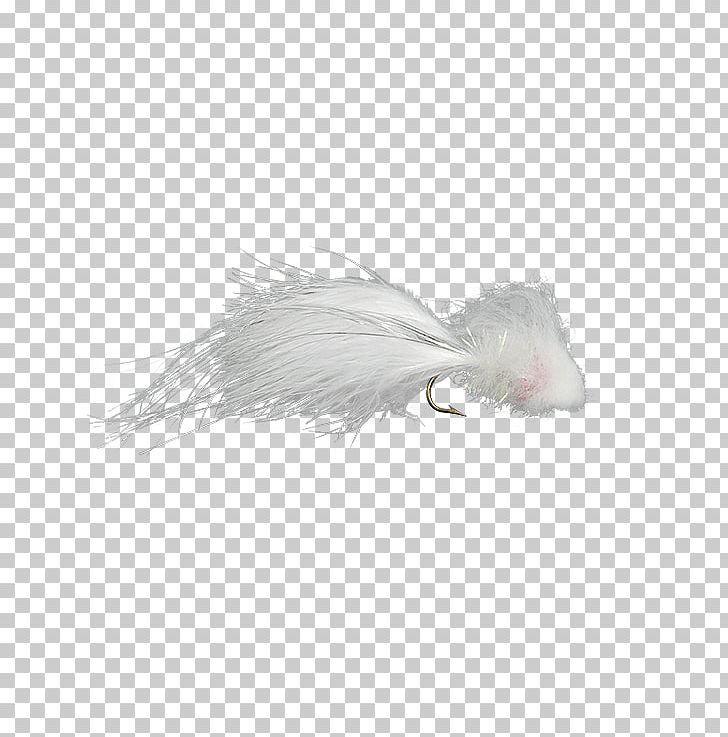 Whiskers Fur Snout Feather Tail PNG, Clipart, Animals, Carnivoran, Feather, Fur, Gift Free PNG Download