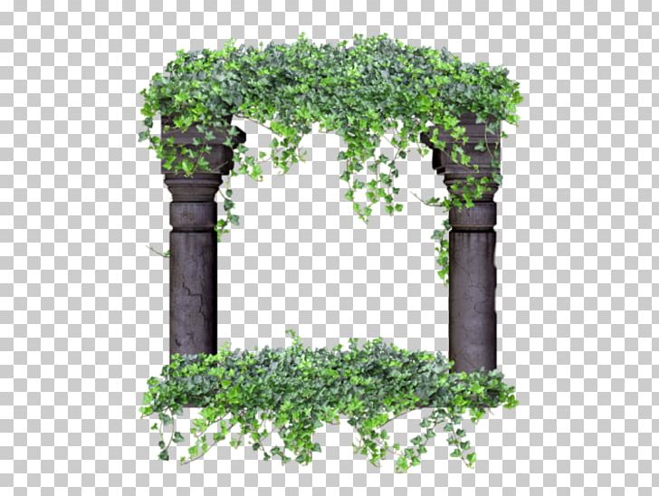 Flowerpot Apyžiedis Photobucket PNG, Clipart, Arches National Park, Branch, Cari, Flower, Flowering Plant Free PNG Download