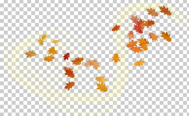 Maple Leaf Portable Network Graphics Adobe Photoshop Autumn PNG, Clipart, Abscission, Autumn, Computer Wallpaper, Internet, Leaf Free PNG Download