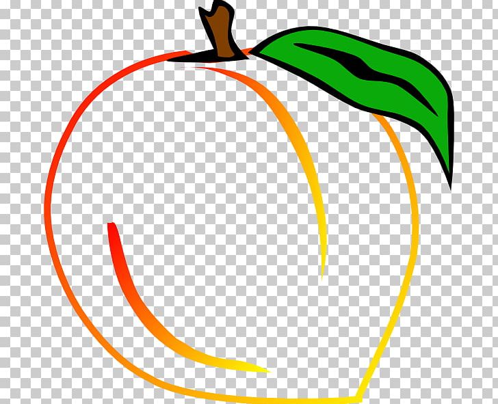 Peach PNG, Clipart, Area, Artwork, Beak, Circle, Download Free PNG Download