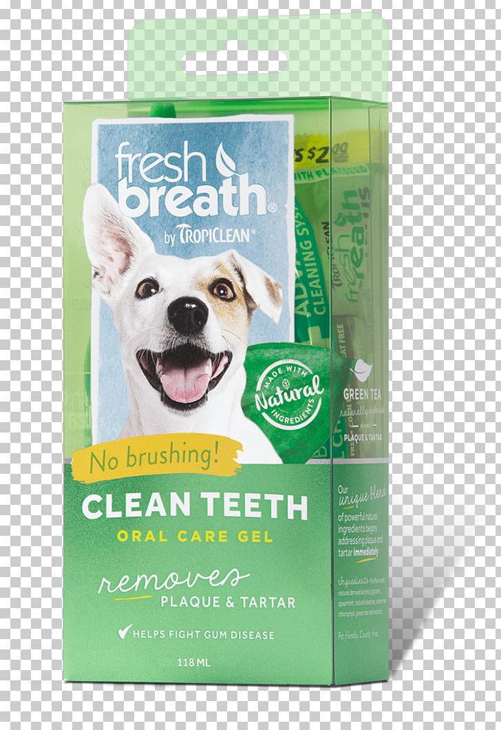 Teeth Cleaning Tooth Brushing Dental Calculus Cat Dog PNG, Clipart, Animals, Cat, Dental Calculus, Dental Plaque, Dentistry Free PNG Download