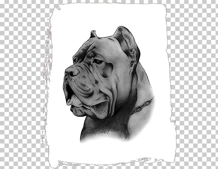 Cane Corso Dog Breed Pit Bull Non-sporting Group Sales PNG, Clipart, Advertising, Animal, Black, Black And White, Breed Free PNG Download