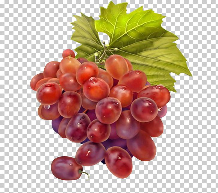 Grape Juice Wine Grapevines PNG, Clipart, Apple, Art, Berry, Cranberry, Currant Free PNG Download