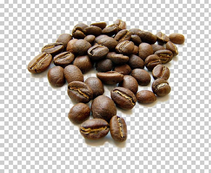 Iced Coffee Coffee Bean Coffee Roasting Tea PNG, Clipart, Arabica Coffee, Bean, Caffeine, Cocoa Bean, Coffee Free PNG Download