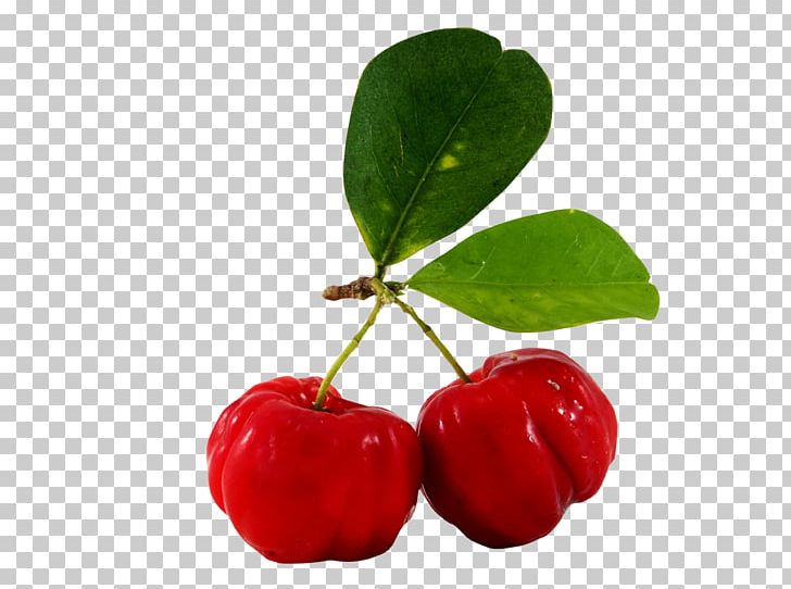 Juice Barbados Cherry Fruit Malpighia Glabra PNG, Clipart, Acerola, Acerola Family, Auglis, Barbados Cherry, Capsule Free PNG Download