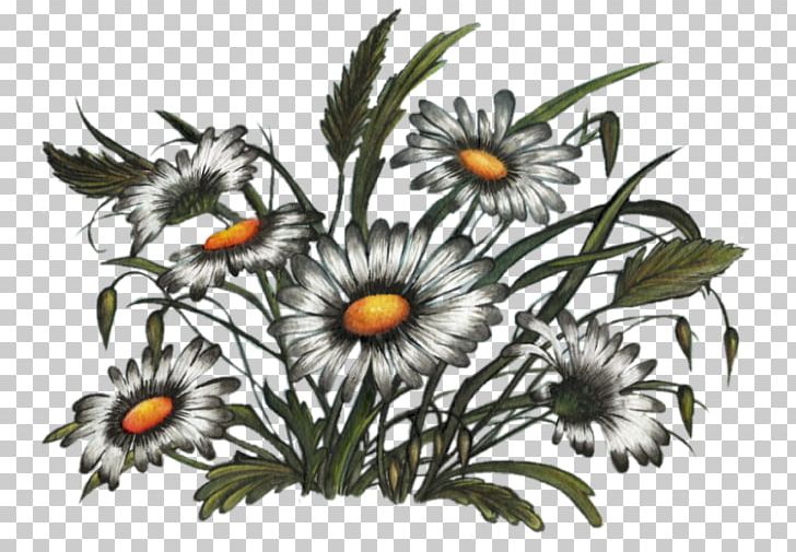 Flower Floral Design Art Floristry PNG, Clipart, Art, Daisy, Daisy Family, Flora, Floral Design Free PNG Download