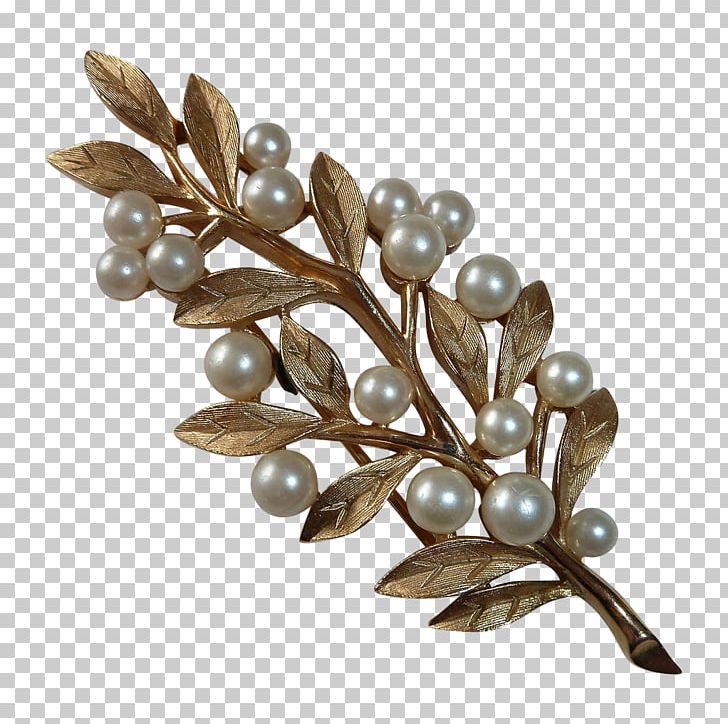 Brooch PNG, Clipart, Brooch, Jewellery, Others, Pearl Free PNG Download