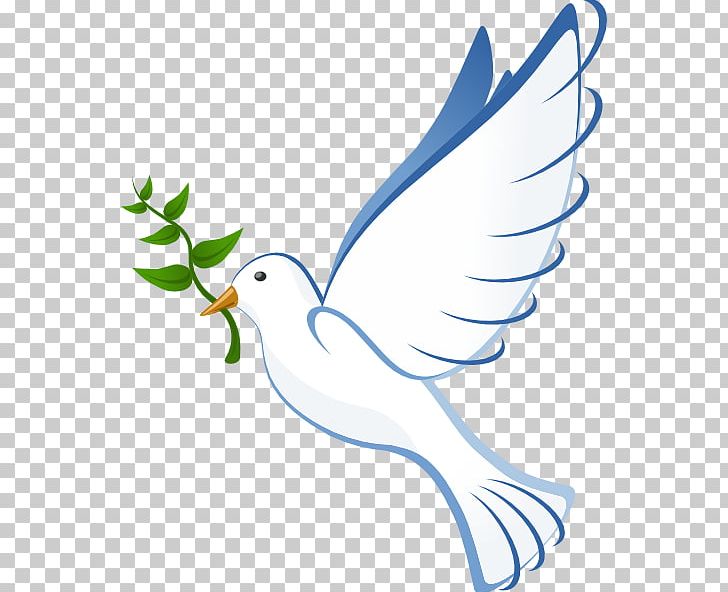 Columbidae Bible Christianity PNG, Clipart, Area, Art, Artwork, Baptism ...