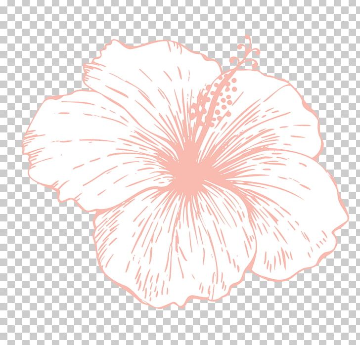 Rosemallows Drawing Floral Design PNG, Clipart, Art, Artwork, Circle, Drawing, Floral Design Free PNG Download