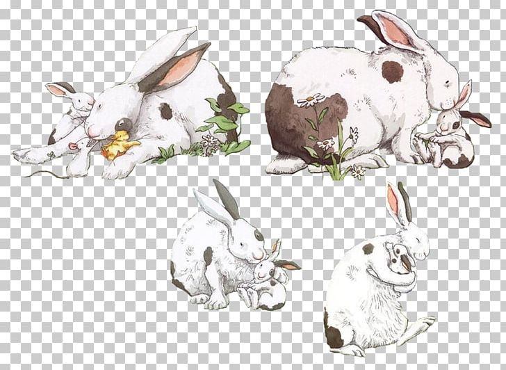 Domestic Rabbit Hare Drawing PNG, Clipart, Animal, Animal Figure, Animals, Anita Jeram, Domestic Rabbit Free PNG Download