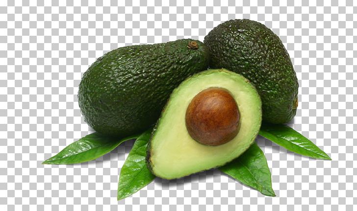 Hass Avocado Vegetable Fruit Tree Avocado Oil PNG, Clipart, Avakado, Avocado, Avocado Extract, Avocado Oil, Berries Free PNG Download