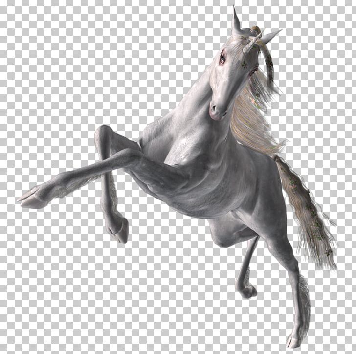 Horse Halter Mane Stallion Unicorn PNG, Clipart, 3d Computer Graphics, Animal, Animals, Fictional Character, Horse Free PNG Download