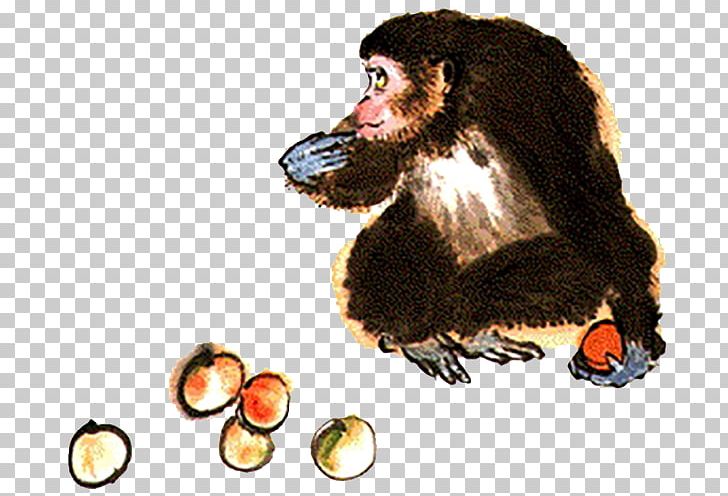 Monkey Finger Hand PNG, Clipart, Animal, Animals, Apple Fruit, Beak, Black Free PNG Download
