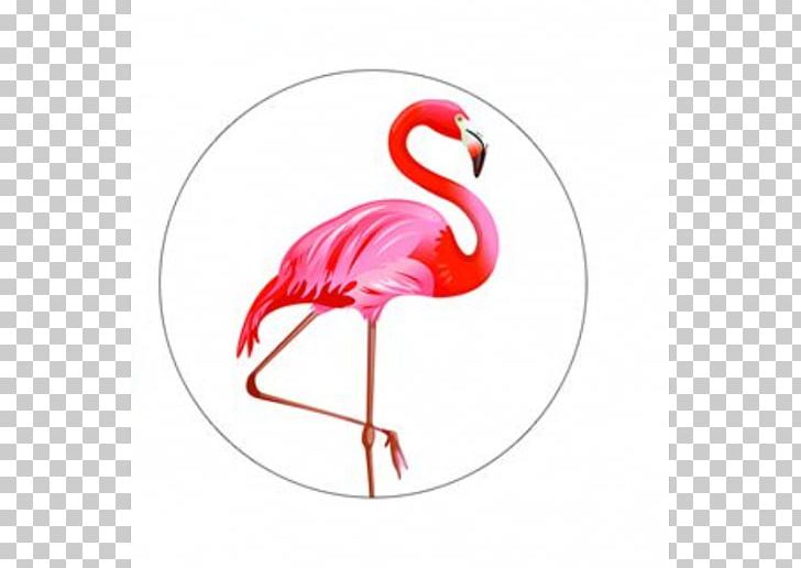 Red-crowned Crane Bird Greater Flamingo PNG, Clipart, 6 S, Beak, Bird, Crane, Flamingo Free PNG Download