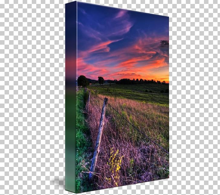Green Summit Cemetery Gallery Wrap Ecoregion Canvas Art PNG, Clipart, Art, Canvas, Cemetery, Dawn, Ecoregion Free PNG Download