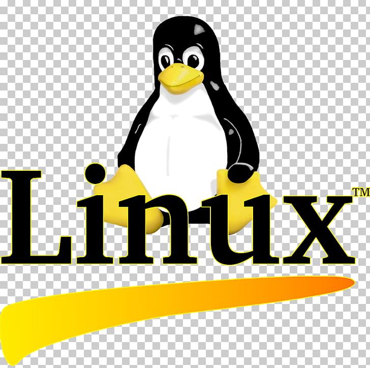 Penguin Logo Linux Brand Font PNG, Clipart, Animals, Beak, Bird, Brand, Course Free PNG Download