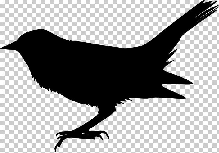 Silhouette Blackbird The Beatles Song PNG, Clipart, Airplane, Animals, Beak, Beatles, Bird Free PNG Download