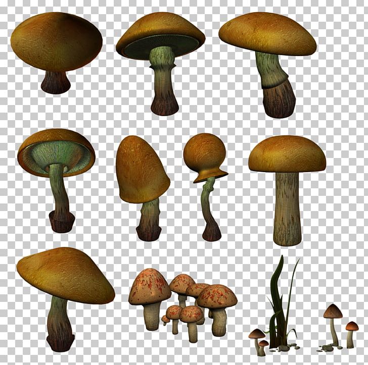 Agaricaceae Edible Mushroom Fungus PNG, Clipart, Agaricaceae, Clip Art, Edible, Edible Mushroom, Fungus Free PNG Download