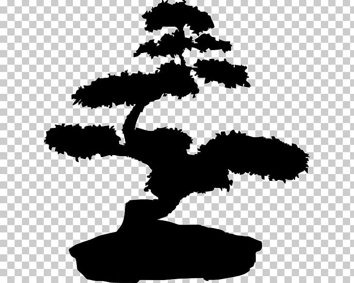 Bonsai Tree Wall Decal PNG, Clipart, Adventure, Artwork, Black And White, Bonsai, Bonsai Tree Free PNG Download
