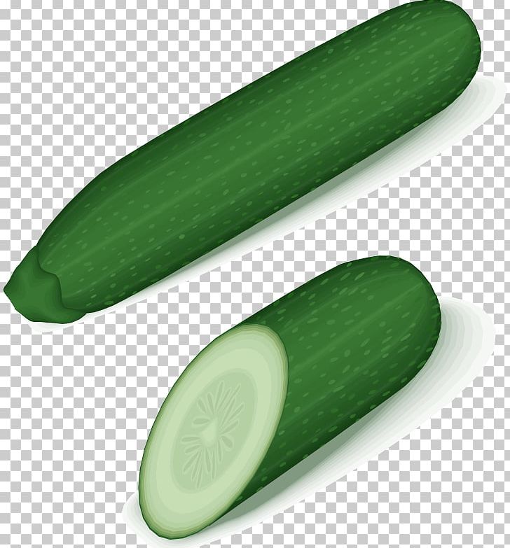 Cucumber Zucchini PNG, Clipart, Clipart Vegetable, Computer Icons, Cucumber, Cucumber Gourd And Melon Family, Cucumis Free PNG Download
