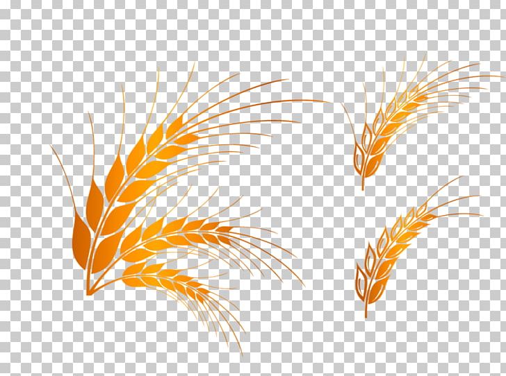 Graphics Rice Design Cartoon PNG, Clipart, Cartoon, Commodity, Computer Icons, Congee, Download Free PNG Download