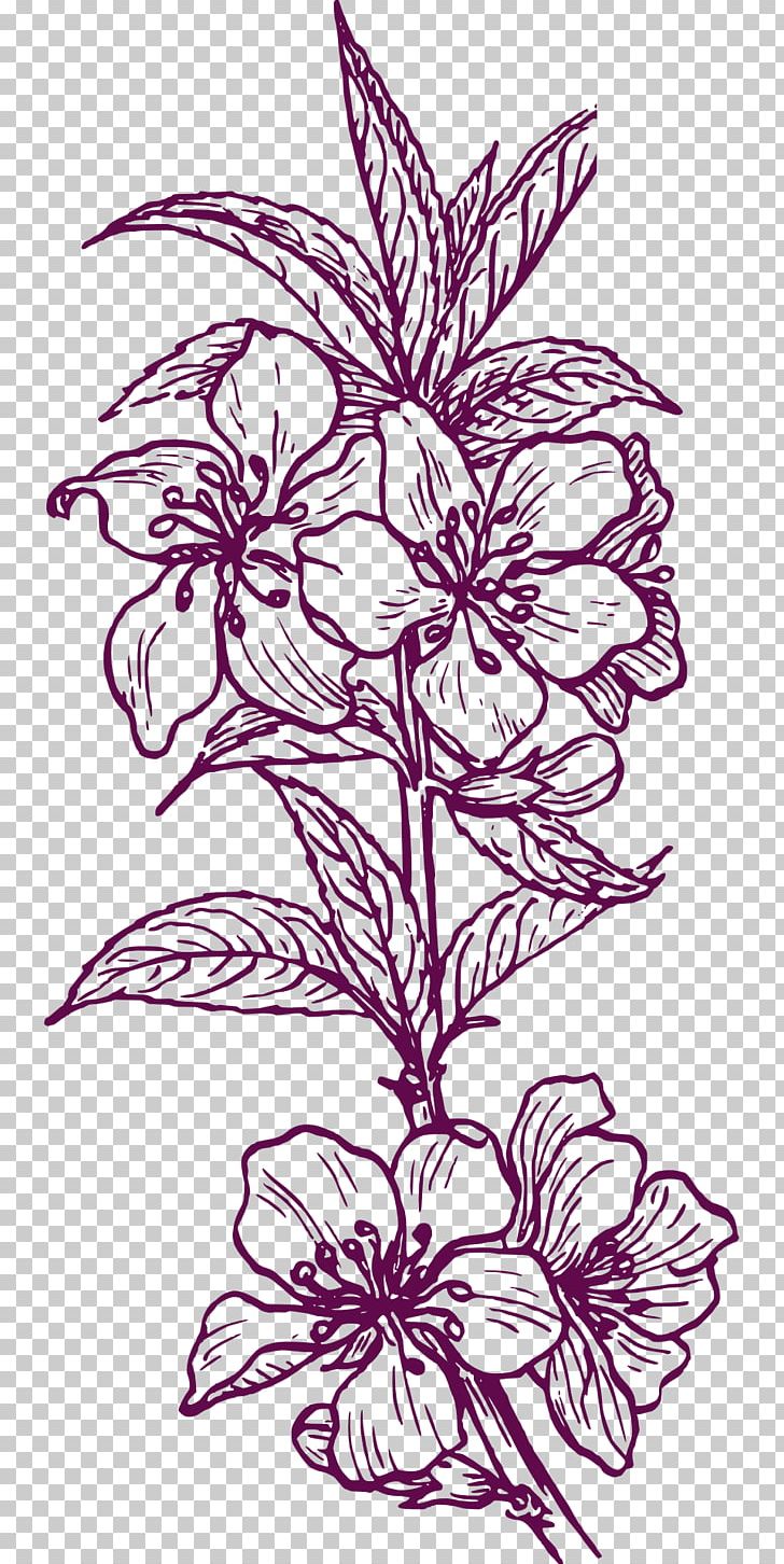 Plant Drawing PNG, Clipart, Almond, Art, Artwork, Black And White, Clip Art Free PNG Download