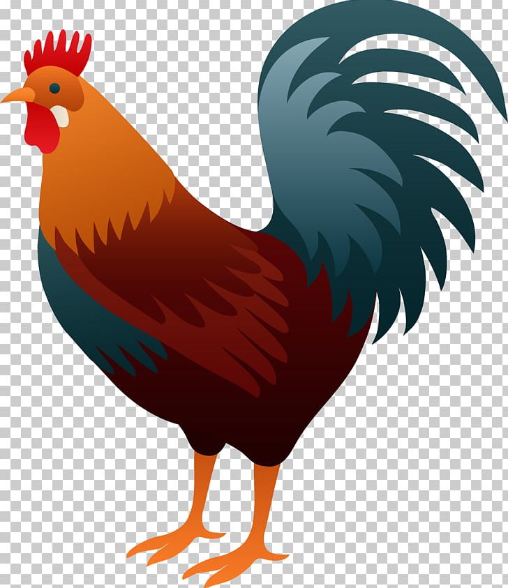 Chicken Rooster PNG, Clipart, Animals, Animation, Beak, Bird, Blog Free PNG Download