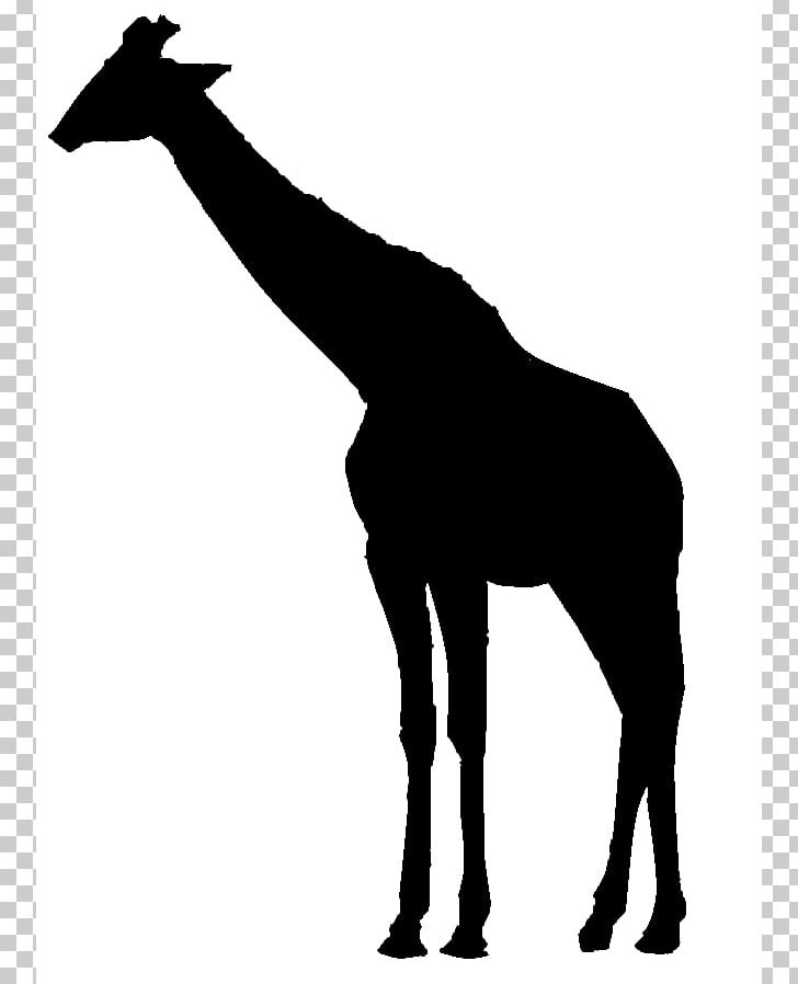 Giraffe Silhouette PNG, Clipart, Drawing, Free Content, Giraffe, Giraffidae, Horse Free PNG Download